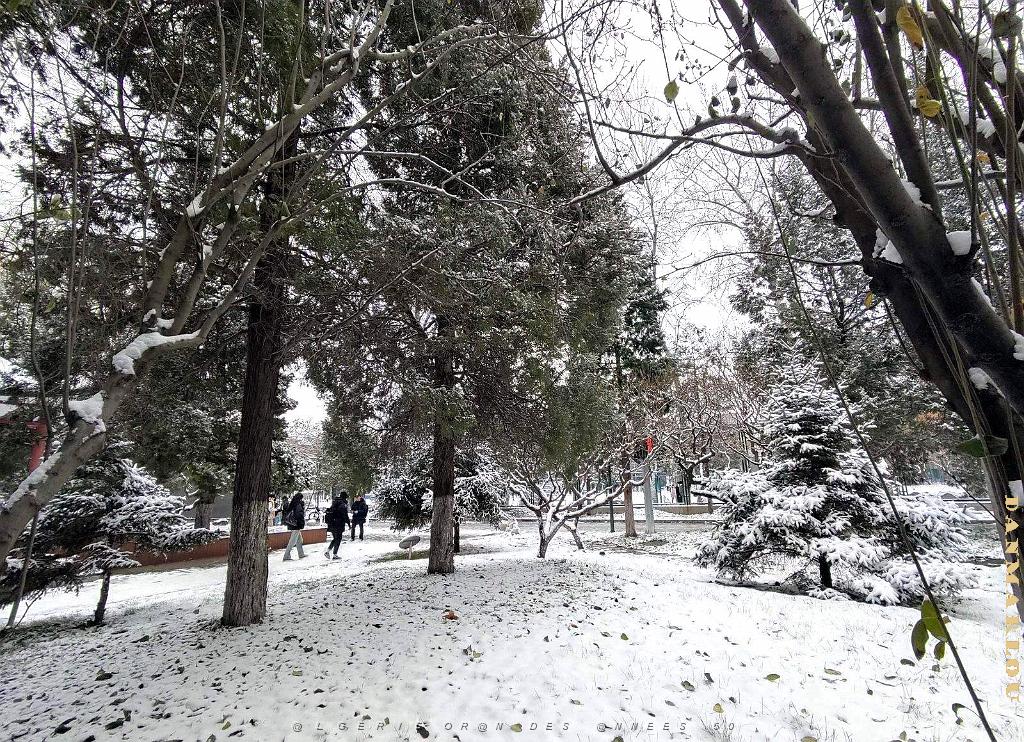 2023 12 PEKIN- UNIVERSITE LANGUES ETRANGERES SOUS LA NEIGE (7).jpg